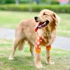 Hundekleidung Vorderbeinpraces Recovery Sleeve Protector Pet Knie -Klammer Wunden für mittelgroßen großen