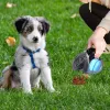 Removers draagbare huisdierpoepschep met kaktas buiten schoner afval pick -up dispenser fot puppy honden faeces faeces vuilniszak houder