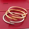 2024 Nieuwe Liefde Gouden Armband armband Designer Armbanden voor Vrouwen Heren Roestvrij Staal Legering Armband Pulsera Verguld Goud Zilver Rose Sieraden Diamanten Armbanden