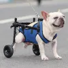 장비 조절 가능한 뒷다리 장애인 애완 동물 고양이 개 모빌리티 원조 트롤리 다리 재활 라이트 애완 동물 휠체어 산책 도구