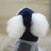 Cão vestuário 2024 chapéu para cães inverno quente listras de malha cachecol colar filhote de cachorro traje de pelúcia roupas de natal trajes de santa