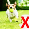 5cm Dog Pet Tennis Interactive Toy Chew Ball Throwing High Bouncy Kids For Supplies Puppy Accesorios 240220