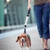 Colliers pour chiens, bracelet lumineux LED, lumière clignotante dans la nuit, brassard réfléchissant pour la marche