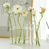 6/8 pièces Tube à essai Vase en verre clair bouteille de fleur en verre créatif plante hydroponique Terrarium bouteille en verre décor de bureau 240219