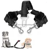 Hundhalsar Leases Dog Collage Car For Accessories Stripe Justerbar koppel Sitt dubbel Elasticitetsförlängningsbälte Två säkerhetsfordon DHPME