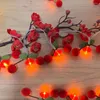 Saiten 2 Meter Jahr Festival Atmosphäre Dekoration LED rote Früchte bunte Laternen Anhänger kleine Lichterkette