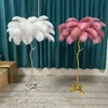 Nordic Ostrich Feather Led Floor Lamp Resin Copper Living Room Home Decor Standing Light Indoor Lighting Bedroom Bedside Lamp