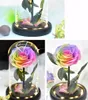 Shining Little Prince med lätt bevarad naturlig ros i Glass Dome Eternal Flowers Home Decor Mothers Valentines Day Gifts 240223