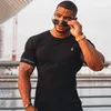 Running Shirt Men Short Sleeve Sport Workout Training Tshirt Tops Male Fitness Gym Sportwear Summer Mens 240219