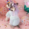 Psa odzież pet księżniczka sukienka urodzinowa kostium luksusowy szczeniak tutu mesh spódnica dla małych psów vestidos para perritas ubrania
