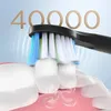 Fairywill Sonic Elektrische Zahnbürste E11, wasserdicht, über USB aufladbar, wiederaufladbar, elektrische Zahnbürste, 8 Bürsten-Ersatzköpfe, für Erwachsene, 240220