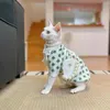 Costumi per gatti Maglione floreale in stile francese per Devon Rex Vestiti senza peli Caldi e spessi Abiti per gattini autunno inverno Costume Sphynx