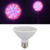 Grow Lights E27 8W 200ed Full Spectrum LED-växter glödlampa Phytolamp för plantor tillväxt Hydroponics Plant Lamp AC110-220V