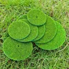 Decorações de jardim 9 pcs tapetes de área artificial musgo micro paisagem layout prop grama gramado acessório almofada cena de relvado