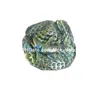 Labradorite naturale intagliato lastra di squalo cristallo di quarzo pietra preziosa semipreziosa teschio di pesce campione minerale metafisica animale figurine statua artigianato decorazioni per la casa