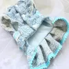 Vêtements pour chiens Vêtements d'hiver de luxe faits à la main Vêtements pour animaux de compagnie Paris Sky Blue Fil d'or épaissi Tweed Velvet Bow Holiday Party Yorkie