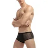 Underpants Mesh Perspective Men Grid Low Waist Black Boxer Sexy Breathable Solid Underwear Knickers Plus Size