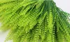 Plant wall green planting wall material simulation plant plastic grass flower arranging accessories Pteris W109 ZZ