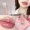 Dudak Parlatıcı 1pc Glitter Lipgloss Parlak Ayna Sırını Tutucu Yağ Nemlendirici Şeffaf Sıvı Ruj Koreli Makyaj Kozmetikleri