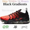 Dhgates tn fille us 13 plus mens schuh basket palm green trainer drift shoe zapato tn donna pink Black scarpe barcawaterway baby sneaker atlanta special man tns 36-47