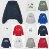 Ontwerper AB Annie Bing Sweatshirt Nieuwe Damesmode Trend Sweatshirt Klassiek Hot Letter Print Wassen Lavendel Paars Los Katoen Veelzijdige Hoodie Trui Tops