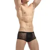 Underpants Mesh Perspective Men Grid Low Waist Black Boxer Sexy Breathable Solid Underwear Knickers Plus Size