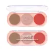 Blush Shadow Not Flyaway Blush Illumina la carnagione Triple Palette