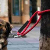 Hundehalsbänder 5 Stück Schwammabdeckung Abschleppseil Griff Zubehör für Ärmel Leine Grip Wraps