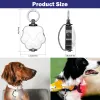 Halsar 2 Pack LED Dog Collar Light Cat Pet Lysande hänge USB Falllamp Night Safety Dog Lights For Night Walking Running Camping