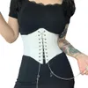 أحزمة مثيرة مشد Underbust المرأة القوطية أعلى منحنى النمذجة المشكل حزام التخسيس حزام حزام الدانتيل