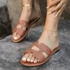 2024 New Womens Summer Shoes with Crocodile Pattern Solid Flat Sandals Luxury Mule Outdoor Anti slip Rubber Slide 240226