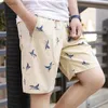 Men's Shorts Wholesale New Loose Fashion Shorts Pure 100% Cotton Casual 4 color Selection Pattern Bird Clothing Beach Shorts Men 240226