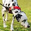 Hundehalsbänder Kragen Nylon Haustier Schnalle Outdoor-Tauchstofffutter Mittleres und großes Zubehör