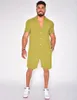 Verkauf von Hawaii Herren Sommer Casual Fashion Anzug Kragen Baumwolle Leinen einfarbig Kurzarm Shorts 240220