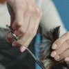 Hondenkleding 6 stuks schaar decoratieve staartnagels accessoires huisdier huishoudelijke tondeusesteun roestvrij staal