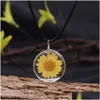 Pendentif Colliers Vente Transparent Fleur Séchée Verre Pendentif Collier En Cuir Pour Les Femmes Fait Avec Amour Rose Bleu Long Cadeau Dhgarden Dhlrg