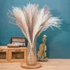 20 Stuks45cm Natuurlijke Lisdodde Wit Gras Gedroogde Bloemen Eternell Boeddha Stof Pampas Riet Bruiloft Woondecoratie Accessoires 240223