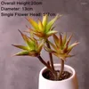 Decorative Flowers Artificial Succulent Large Plants Fake Wedding Christmas Party Home Garden Office Decoration