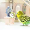 Other Bird Supplies 10 Pcs Parrot Chew Toy Cage Shredding Can Write Canary Hanging Cockatiel Cardboard Paper Toys Small