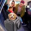 Borsa da viaggio per gatti Borsa da viaggio per animali domestici espandibile su 4 lati Borsa da trasporto pieghevole morbida per compagnia aerea per gattini Cani Piccoli animali