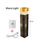 Nattljus 11,5 tum Brownstone Torch LED -ljus USB -laddningsdisk spelrum sovrum dekoration lampa barn födelsedagspresent