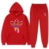 ملابس الرجال في Men Tracksuit 2 قطعة من العلامات التجارية المطبوعة Hip Hop Y2K Pullover Hoodies Streetwear Adleies للنساء و