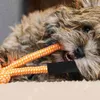 Colliers de chien 5 pièces poignée de corde de remorquage accessoires de laisse pour animaux de compagnie pour manches d'éponge de collodion éponges