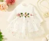 Baby Girls Dress Casual Costume Kids Dresses Baby Dress Girl Party Little Princess Summer Dress Clothing