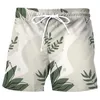 Shorts masculinos verão praia calças de secagem rápida surf runningdrawstring treino reto solto natação