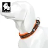 Colliers Truelove Pet Dog Collar nylon et matériaux réfléchissants élargis et confortables adaptés aux chiens de toutes tailles TLC50121