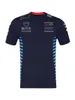 Męskie polo 2024 F1 Team Racing T-shirt Formuła 1 Męskie koszule polo koszulki Motorport New Sezon Fan Fan Tops Jersey Plus Size H2QP