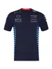 2024 F1 Team Racing T-Shirt Formül 1 Sürücü Erkek Polo Gömlek T-Shirts Motorsport Yeni Sezon Giyim Hayranları Jersey Plus Boyut