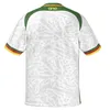 2024 Africa Cup Camerún Jerseys Camisetas de fútbol camerunianas 23/24 ABOUBAKAR MBEUMO TOKO EKAMBI MAILLOT DE CAMEROUNAIS ANGUISSA ONANA WOOH Jersey