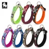 Colliers Truelove Pet Dog Collar nylon et matériaux réfléchissants élargis et confortables adaptés aux chiens de toutes tailles TLC50121